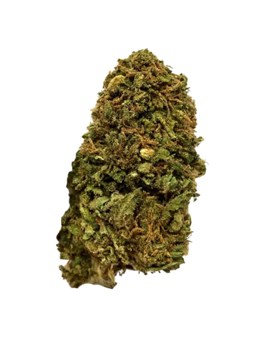 Buy Suver Haze CBD strain online for fast delivery in Bangkok and Thailand.