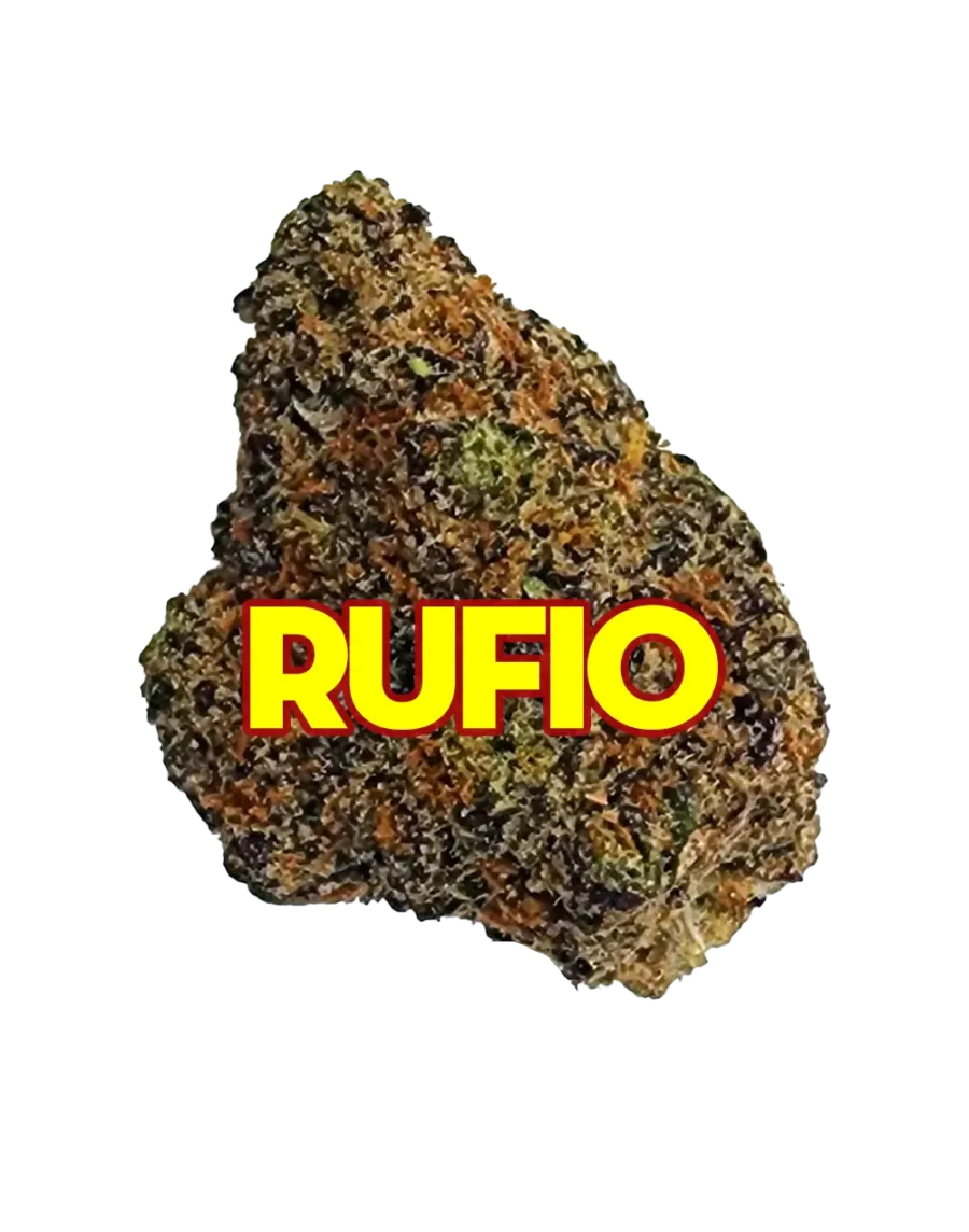 Buy Rufio sativa strain online for fast delivery in Bangkok and Thailand.